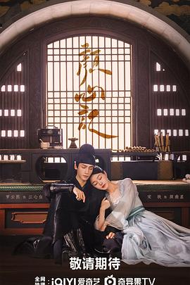 市区seo排名优化运营